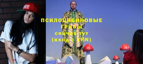 стаф Гусиноозёрск