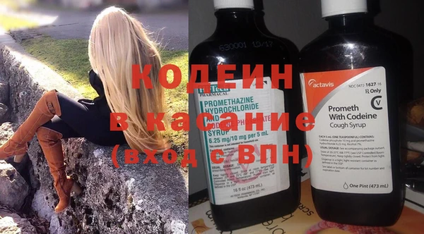дурь Гусев