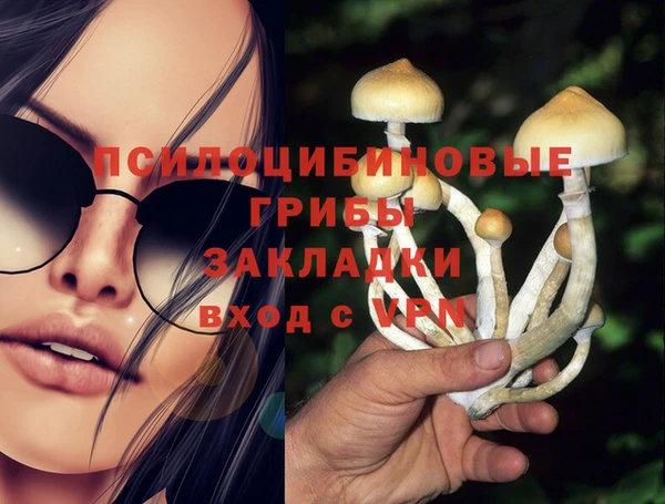 винт Горнозаводск