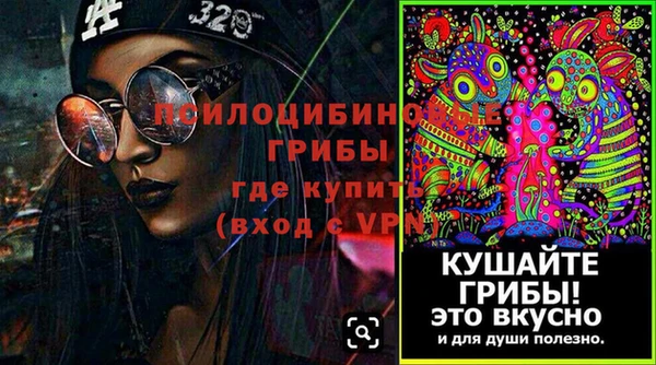 стаф Гусиноозёрск