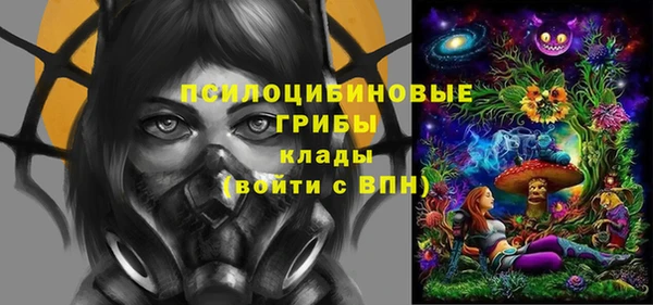 стаф Гусиноозёрск