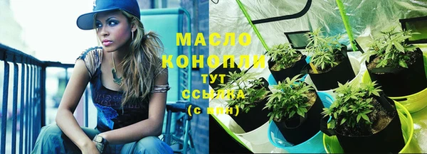 дурь Гусев