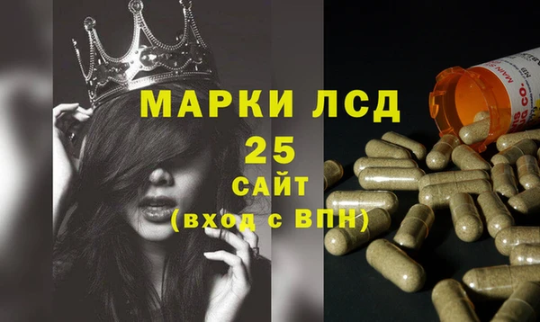 крисы Гусь-Хрустальный