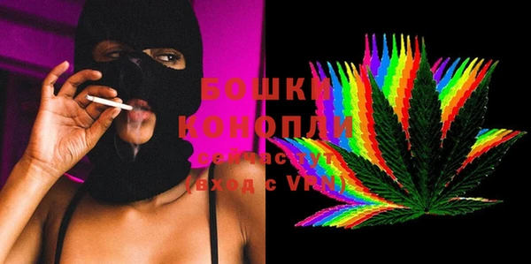 дурь Гусев